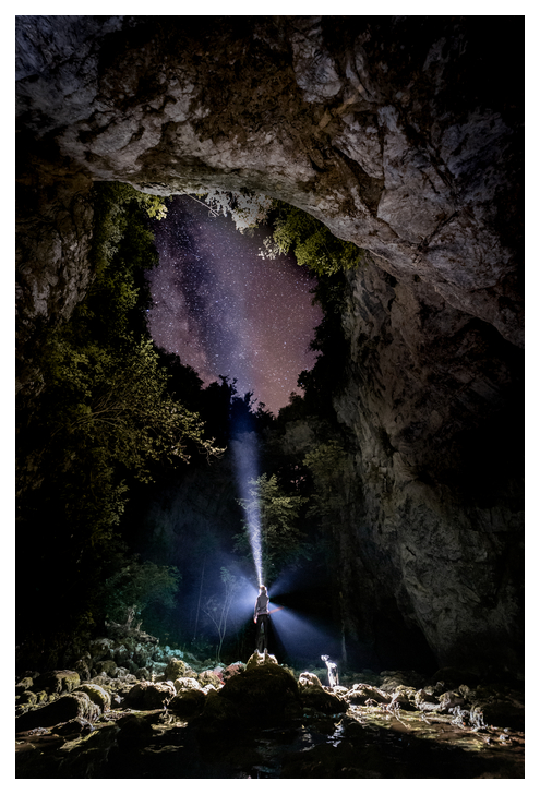 LifeWatch Slovenia featured in the LifeWatch ERIC newsletter